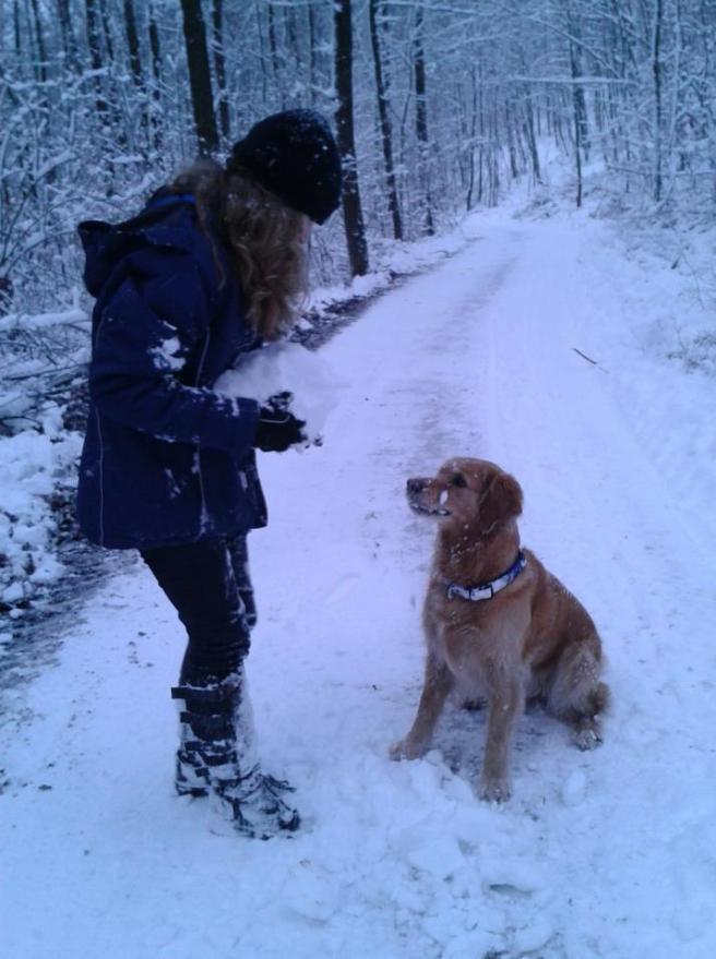 Hundetraining Wien
